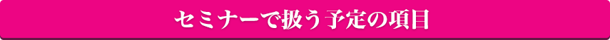 セミナーの内容