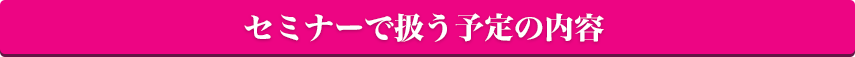 セミナーの内容