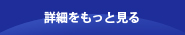 詳細をもっと見る