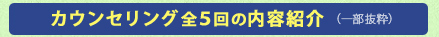 カウンセリング全５回の内容紹介（一部抜粋）